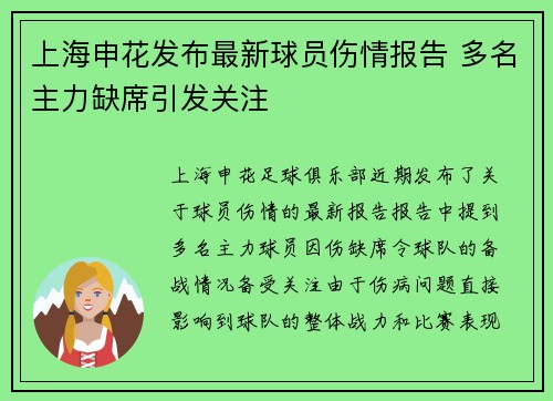 上海申花发布最新球员伤情报告 多名主力缺席引发关注