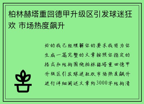 柏林赫塔重回德甲升级区引发球迷狂欢 市场热度飙升